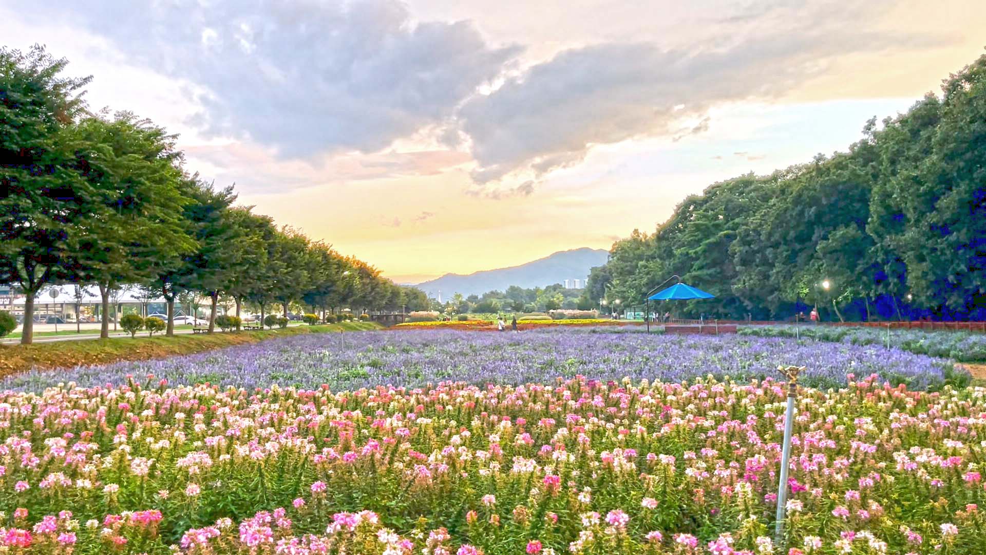 함양 상림공원