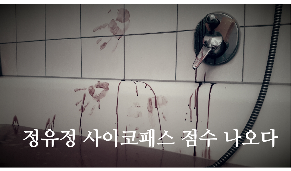  부산 캐리어 살인 정유정 사이코패스 점수 몇점이길래?