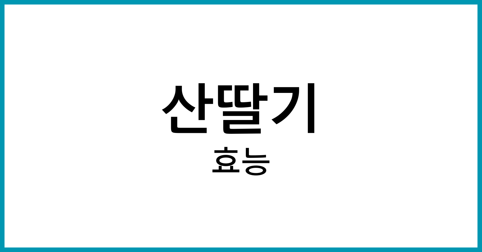 산딸기효능