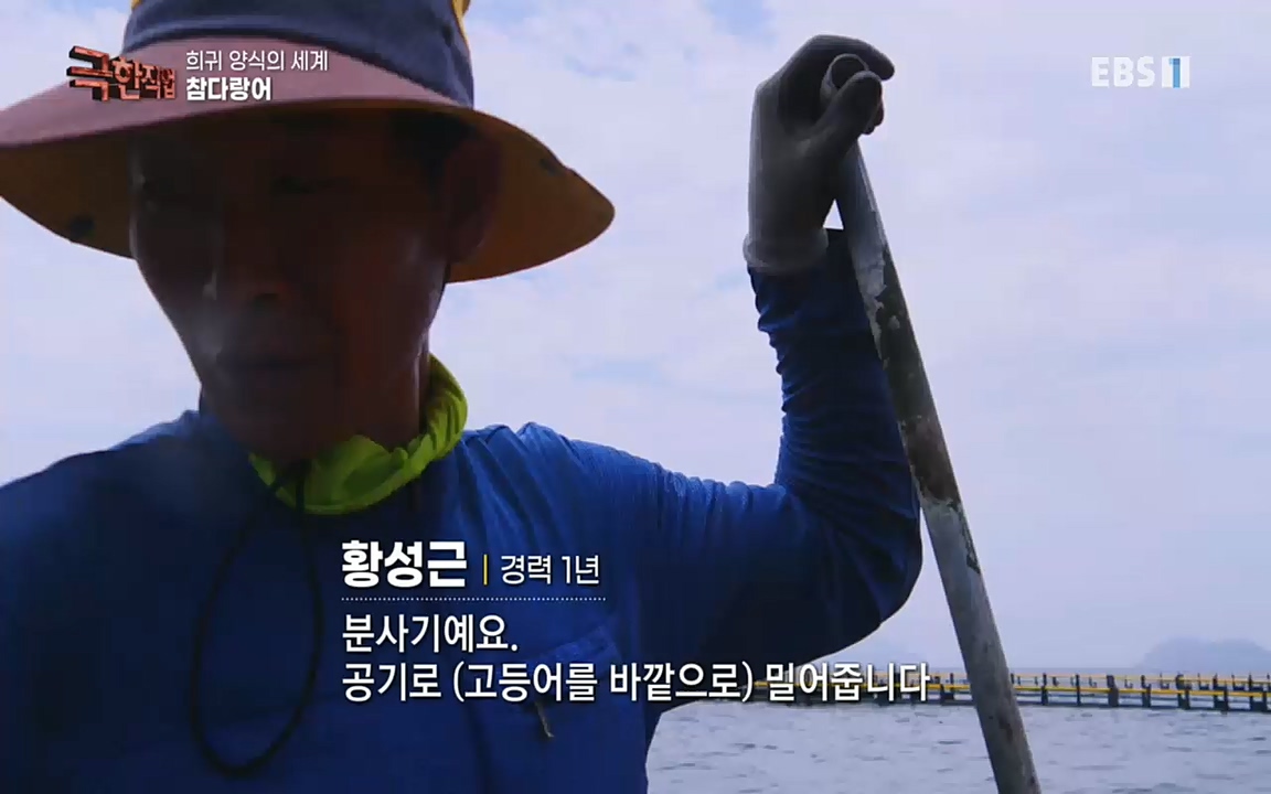 TV - 교육의 중심 EBS희귀 양식의 세계 - 참다랑어, 연어, 쏘가리.mp4_20220829_200226.367.jpg