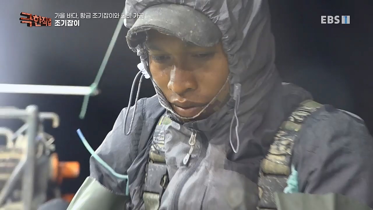 TV - 교육의 중심 EBS가을 바다 황금 조기잡이와 굴비 가공.mp4_20221122_195430.227.jpg