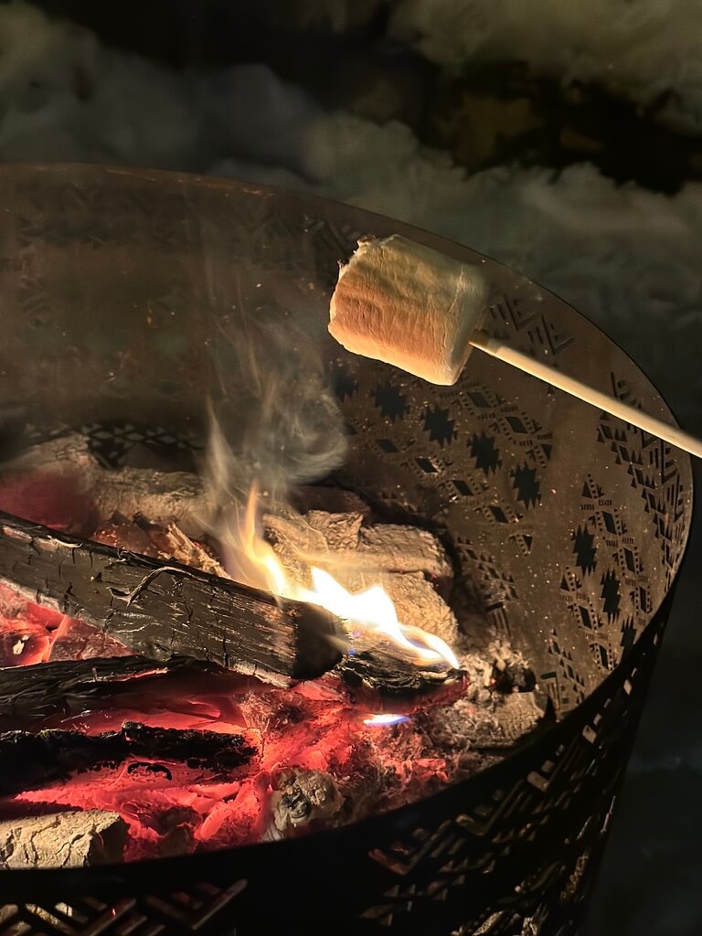 오타루 눈빛거리축제 오타루운하