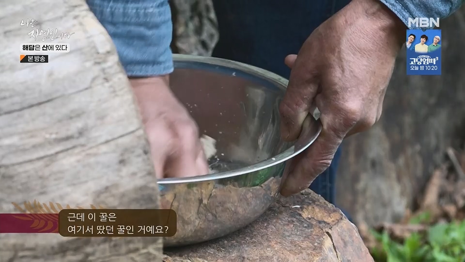 나는 자연인이다.E559.230621p.H264-F1RST.mp4_20230622_204020.564.jpg