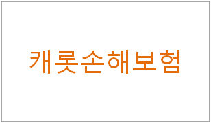 캐롯손해보험