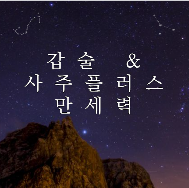  갑술 만세력 (사주플러스 만세력)