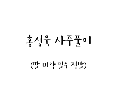  홍정욱 사주풀이 (딸 마약 밀수적발)