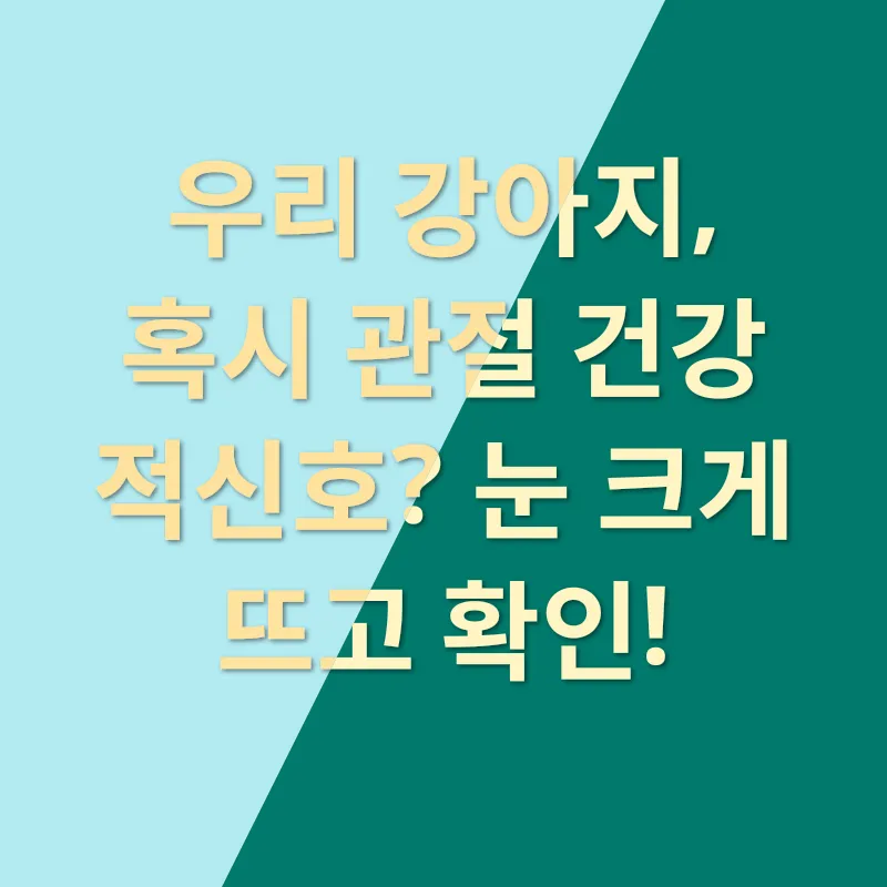 강아지 관절 건강_1