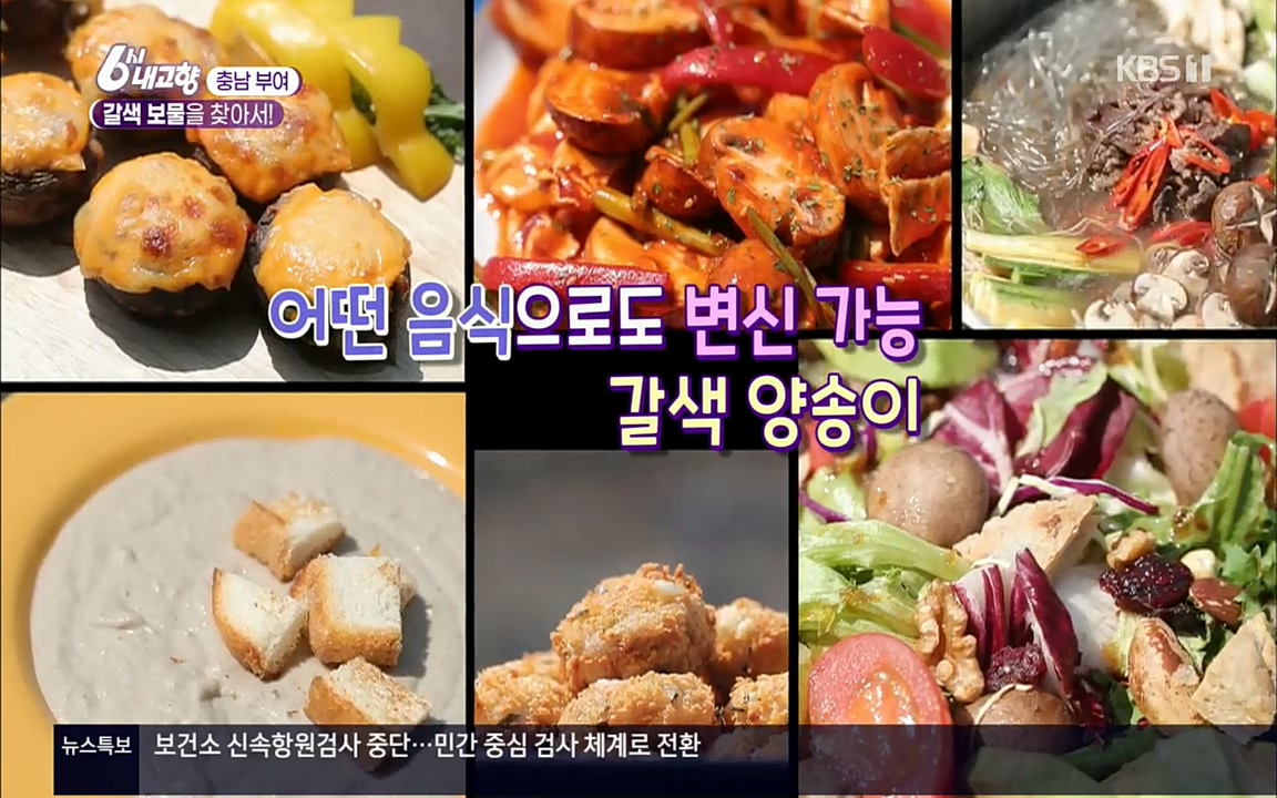 6시 내고향.E7512.220416p.H264-F1RST.mp4_20220502_185521.400.jpg