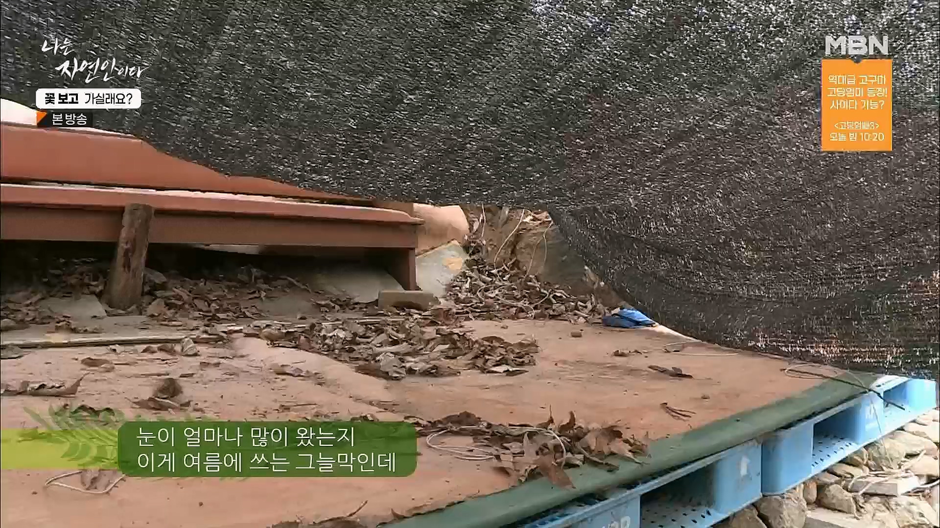 나는 자연인이다.E545.230315p.H264-F1RST.mp4_20230316_212110.084.jpg