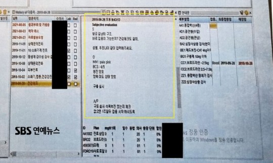  박수홍 반려묘 다홍이 펫샵 구매 루머의 진실