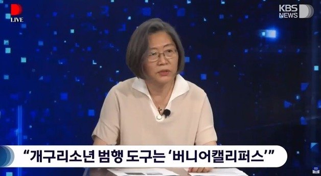  개구리소년 범인-흉기 새 주장에 이수정 상당히 설득력 있다 국내 대표 장기미제사건 개구리소년 사건의 범인 추측 글 온라인상 관심 함몰 부위가 ‘콕콕’ 찍혀 있다 청소년 비행 본드