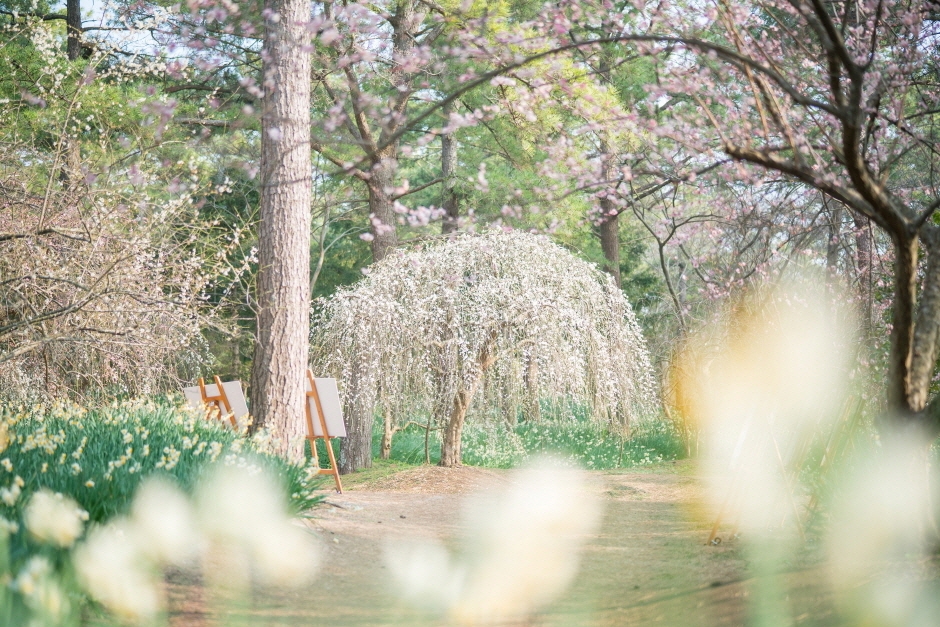 봄 축제 일정 한림 6