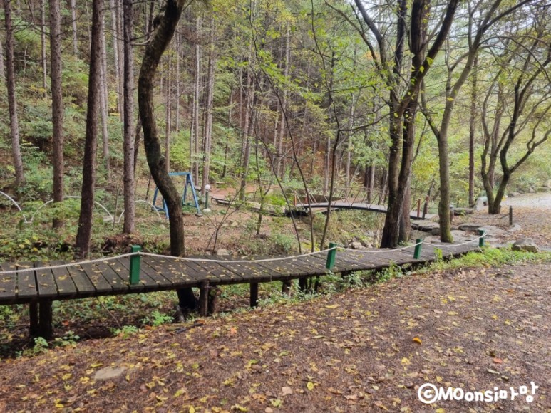 하늘그린캠프, 숲속의 31