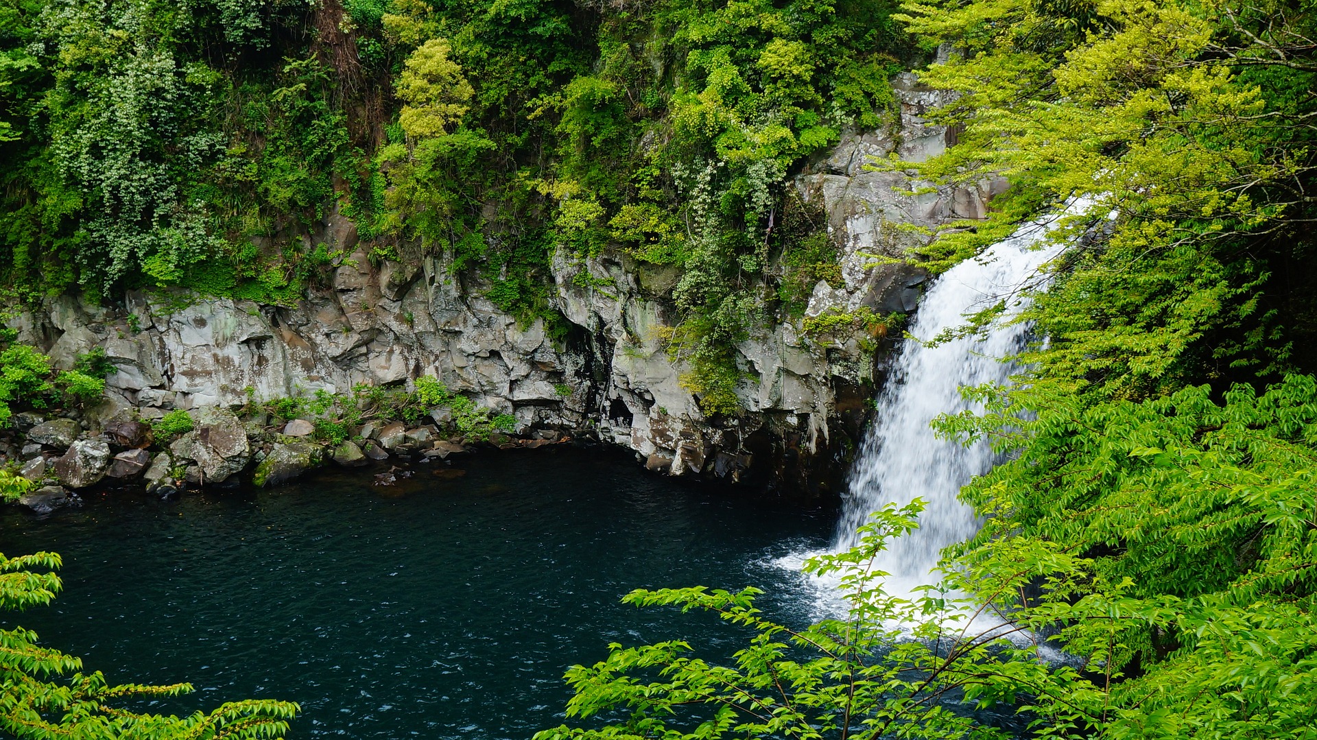 Jeju Island!3