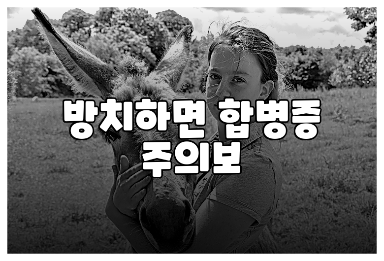 방치하면 합병증 주의보