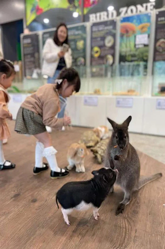 토끼의숲