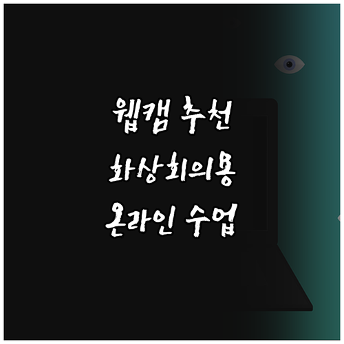 화상회의 및 온라인 수업에 적합한 웹