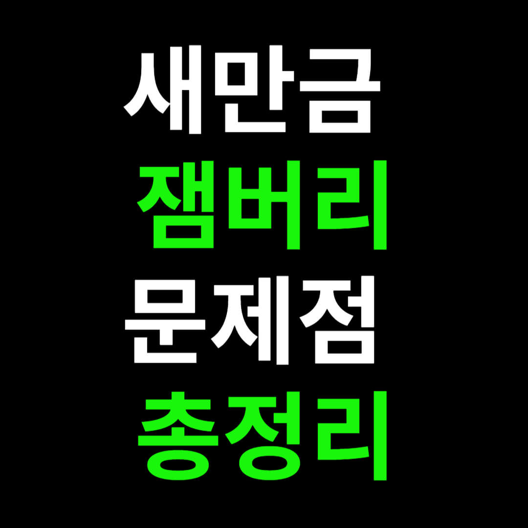 새만금 잼버리 파행
