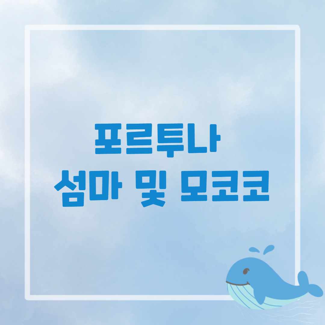 포르투나 섬 포스팅 썸네일