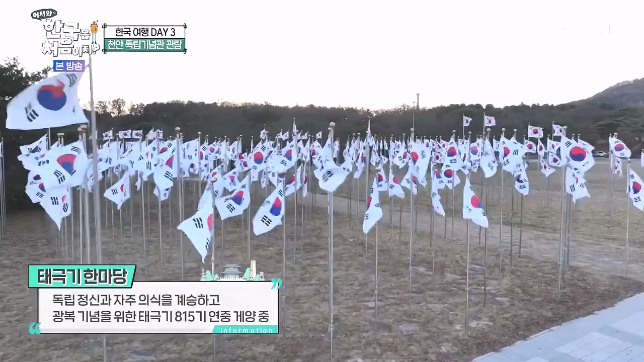 어서와 한국은 처음이지 시즌2.E296.240105p-NEXT.mp4_20240105_202817.267.jpg