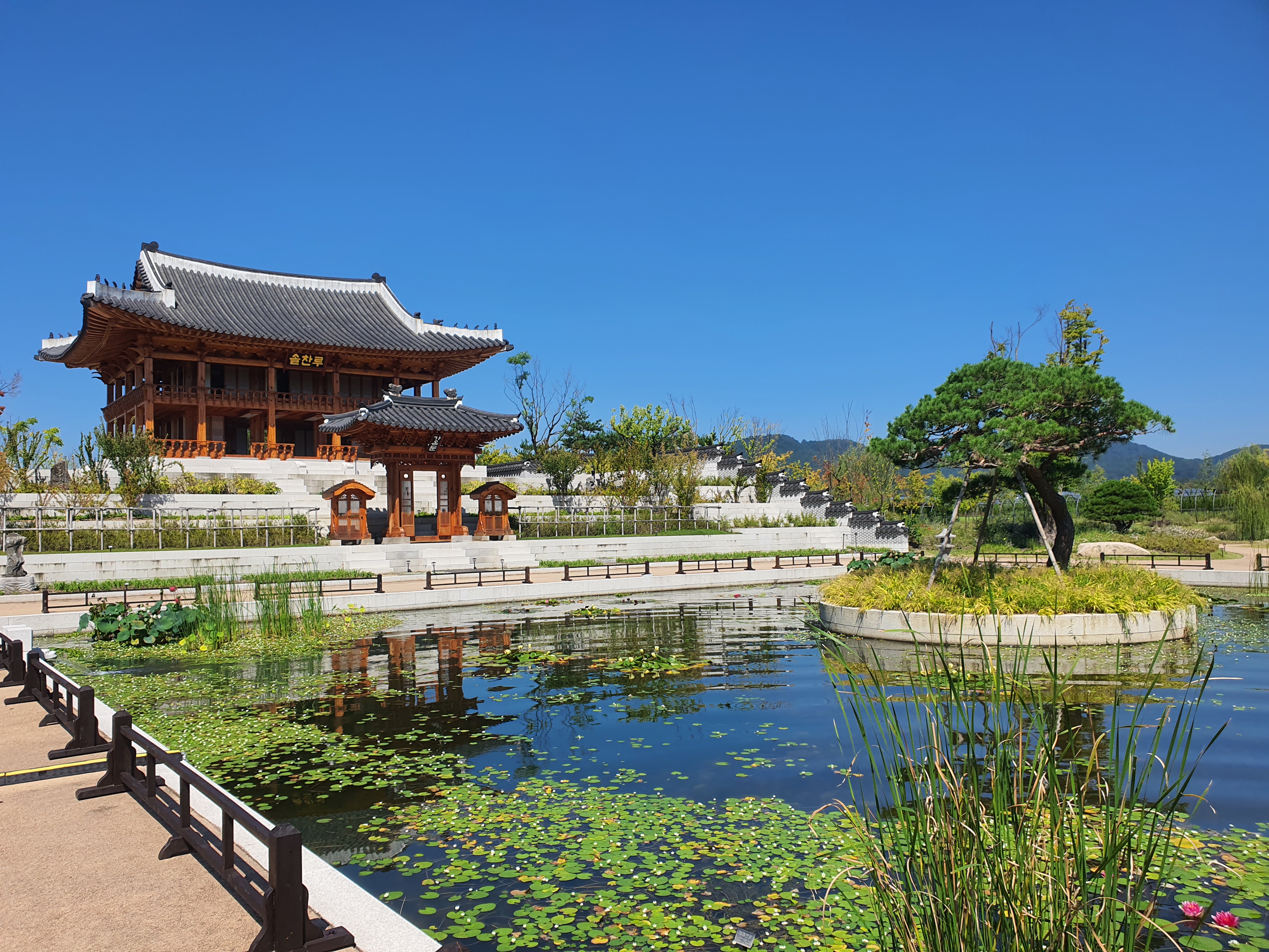 세종 국립세종수목원 한국전통정원 도담정 솔찬루 탐방