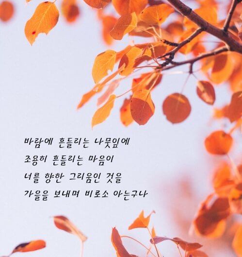 가을일기 시구절이 들어간 이미지