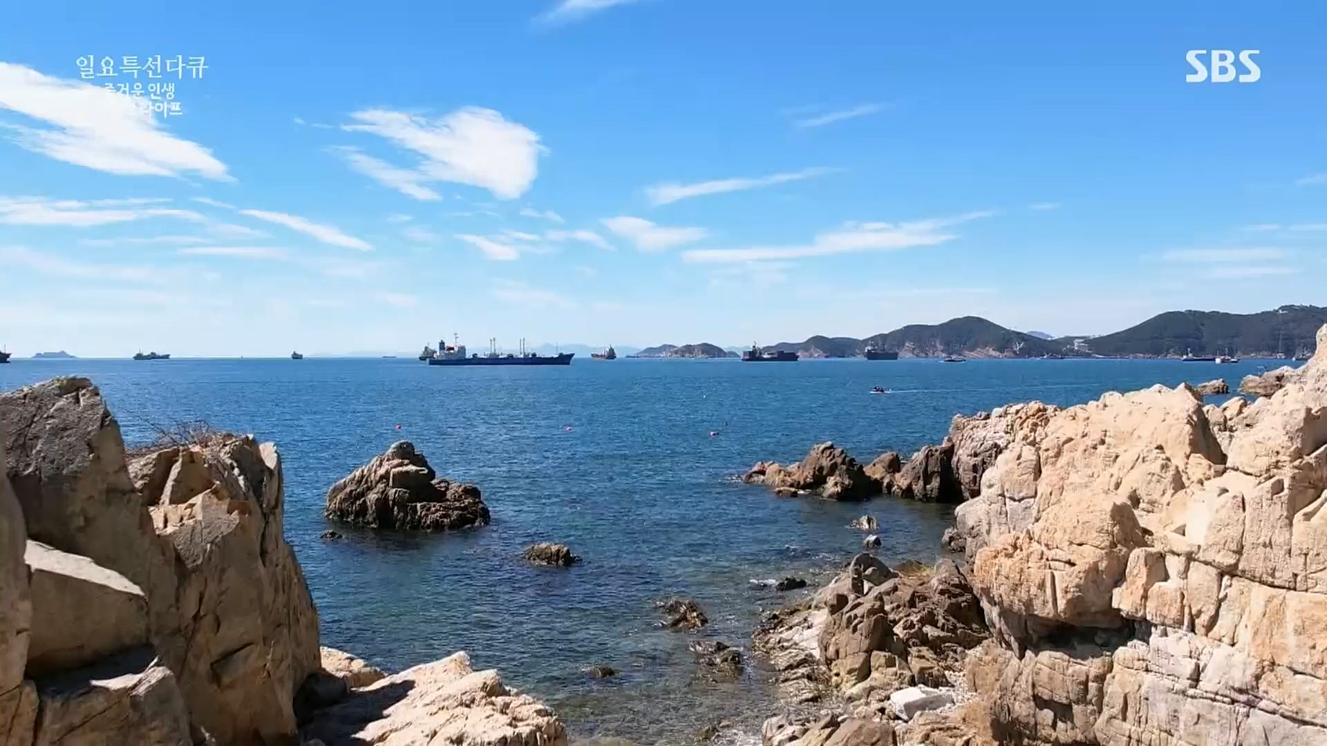 일요 특선 다큐멘터리.E292.221016p.H264-F1RST.mp4_20221018_183600.228.jpg