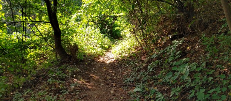 제진검문소 - 통일전망대 출입신고소 해파랑길 50코스 : 30