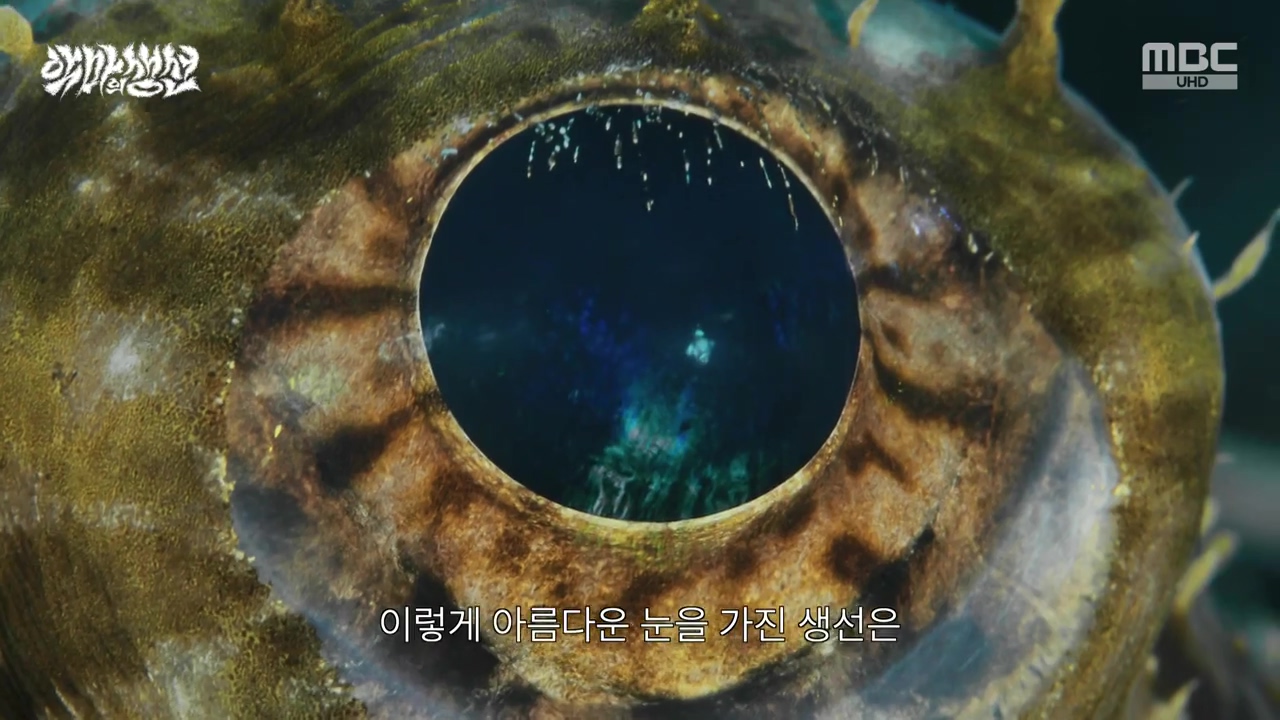 MBC 네트워크특선.E1670.240403p-NEXT.mp4_20240403_203721.784.jpg