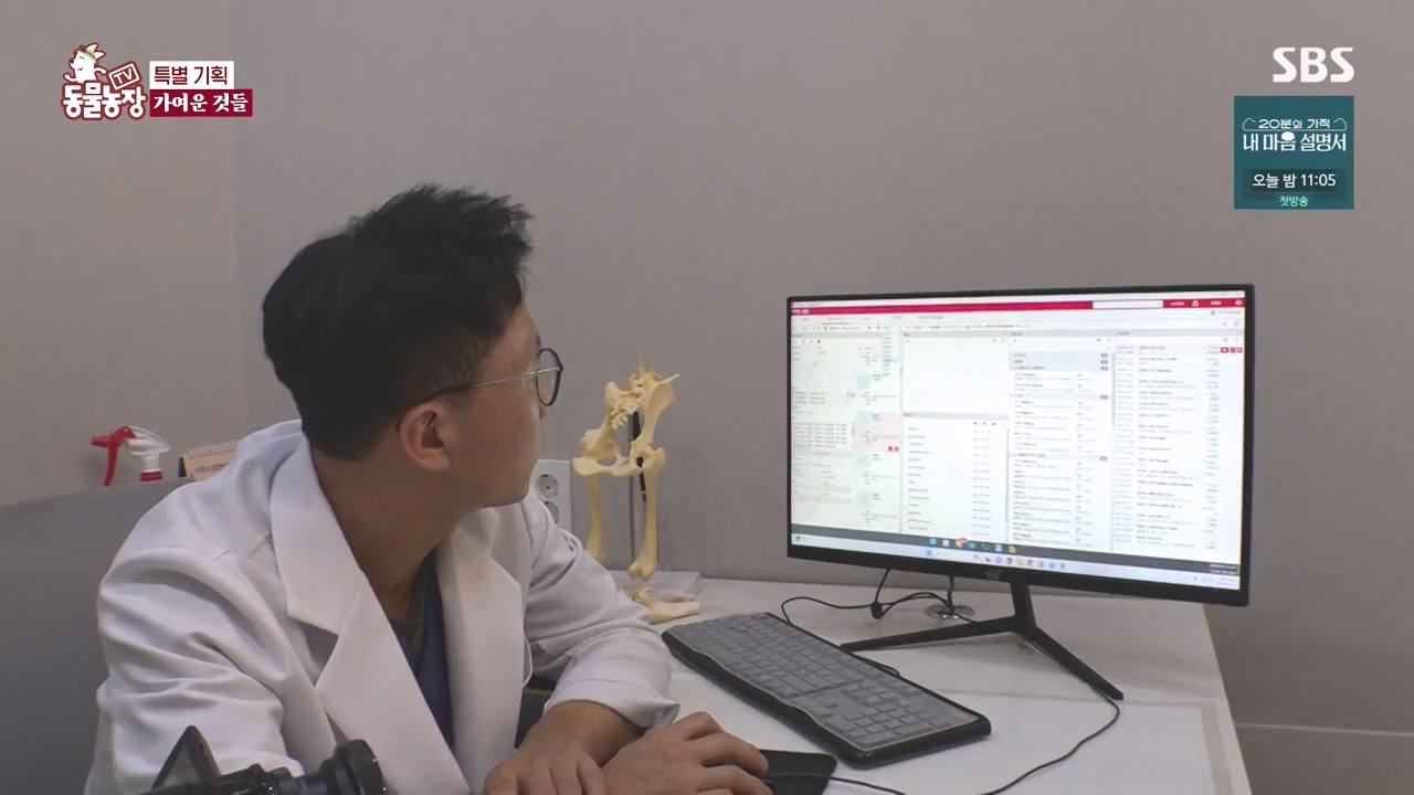 TV 동물농장.E1171.240513p-NEXT.mp4_20240512_163347.079.jpg