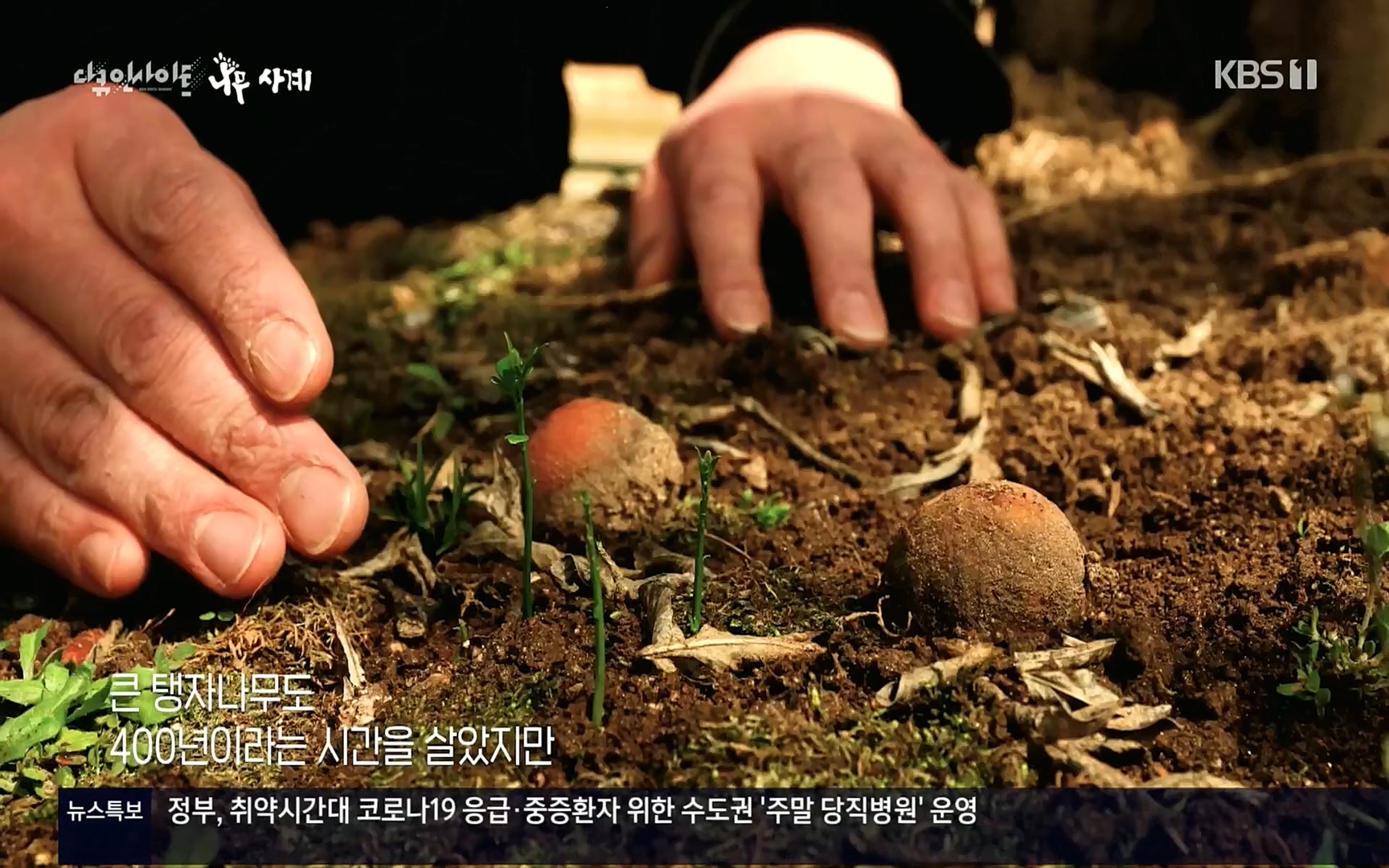 다큐 인사이트.E124.220908p.H264-F1RST.mp4_20220912_143726.828.jpg