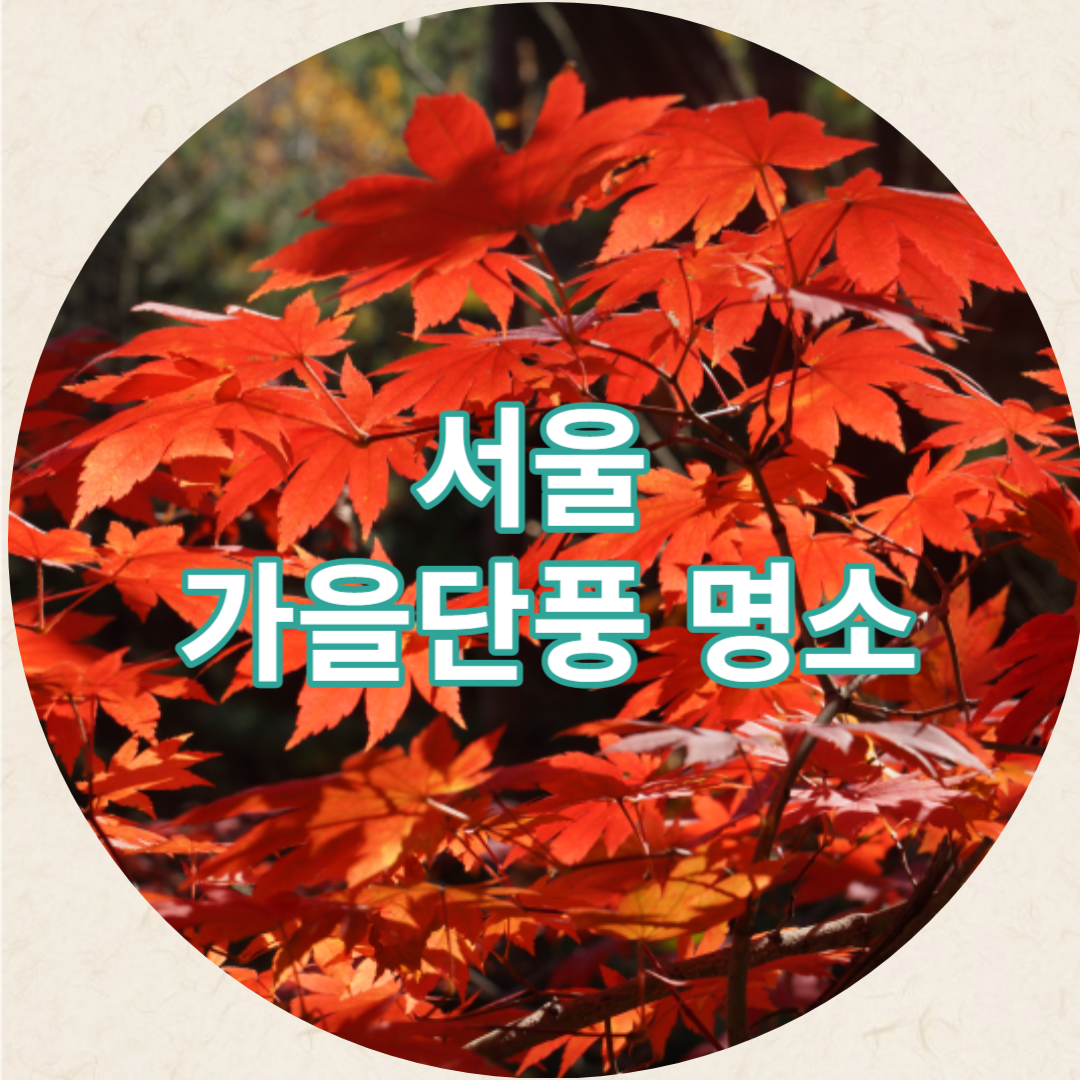 서울단풍명소