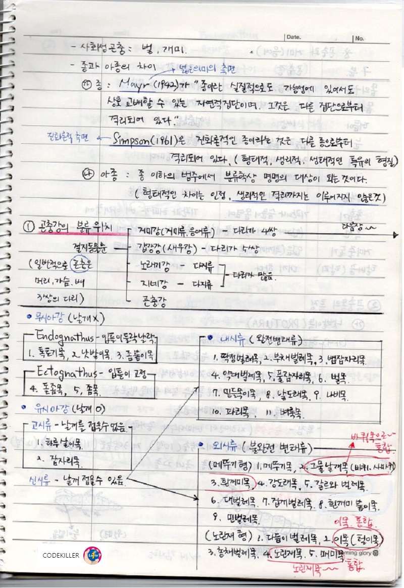 곤충의 계통분류 - 종과 아종