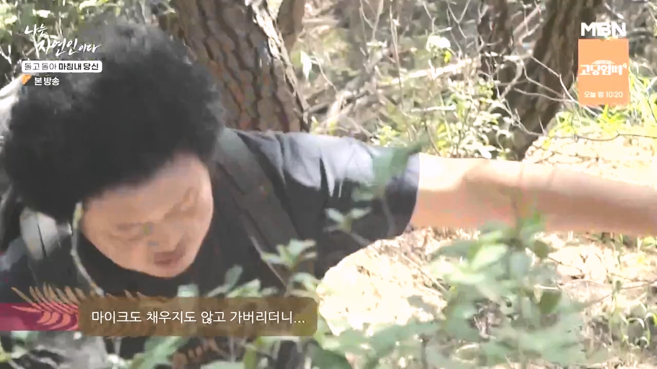 나는 자연인이다.E577.231026p-NEXT.mp4_20231026_200351.197.jpg