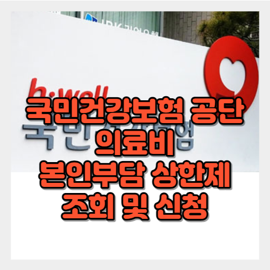 고소득자도 받을 수 있는 의료비본인부담상한제 알아보기 - 미환급 조회 및 신청 방법