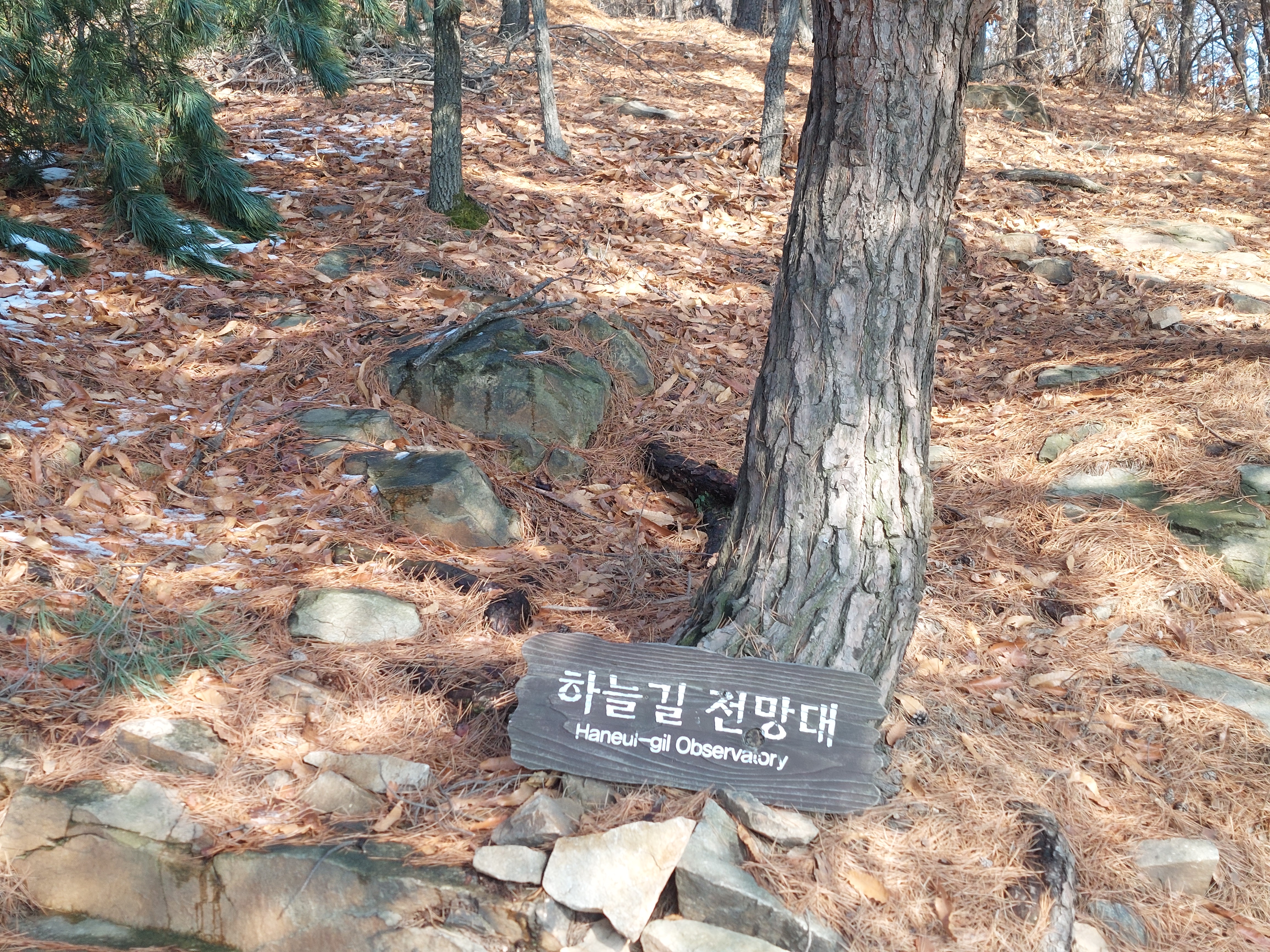 개화산