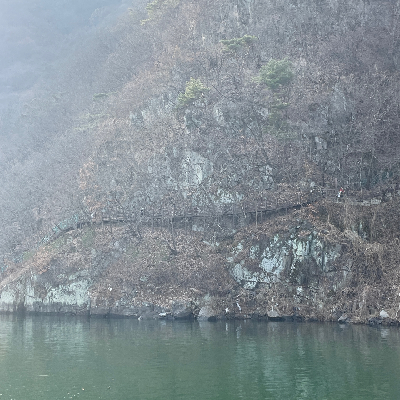 유람선에서 보이는 괴산 산막이옛길