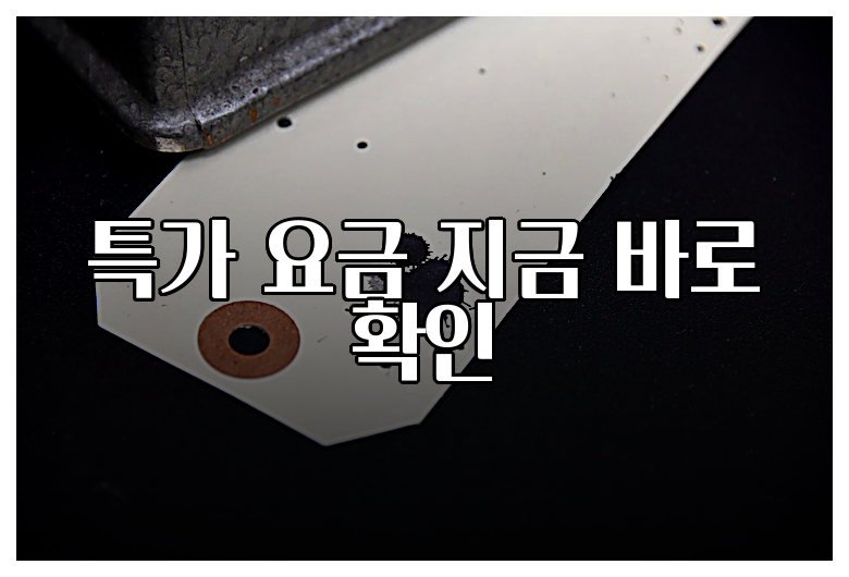 특가 요금 지금 바로 확인