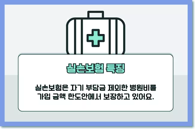 실손보험 특징