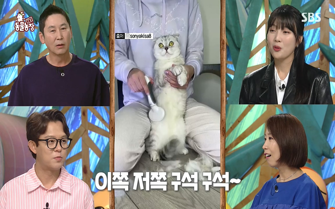TV 동물농장.E1087.220919p-NEXT.mp4_20220918_180214.304.jpg