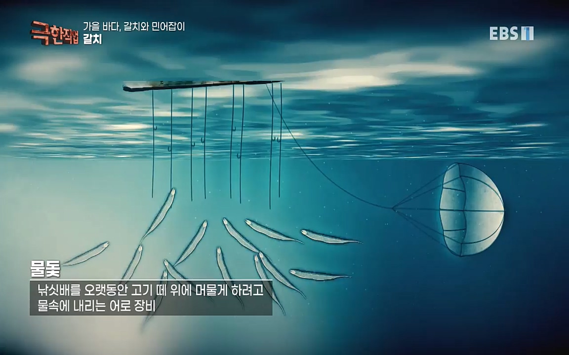 TV - 교육의 중심 EBS가을 바다, 갈치와 민어잡이.mp4_20220926_202225.740.jpg