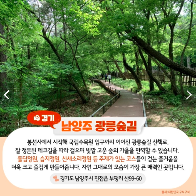 남양주 광릉숲길