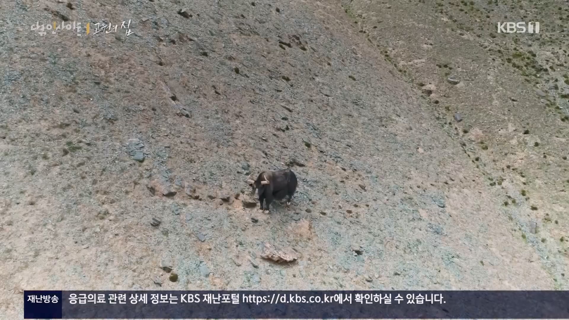 다큐 인사이트.E176.240328p.H264-F1RST.mp4_20240330_162901.510.jpg