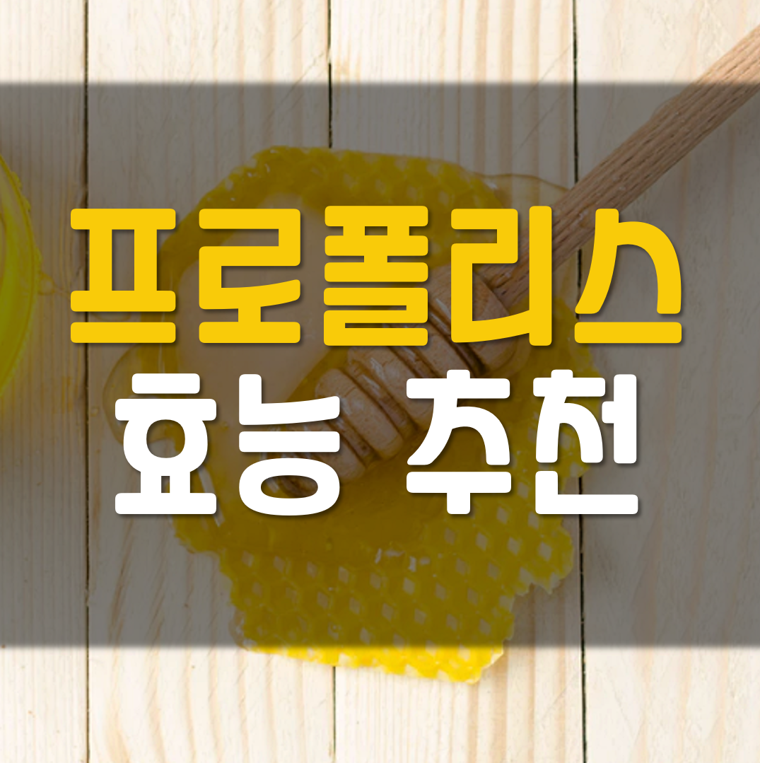  프로폴리스 효능 추천