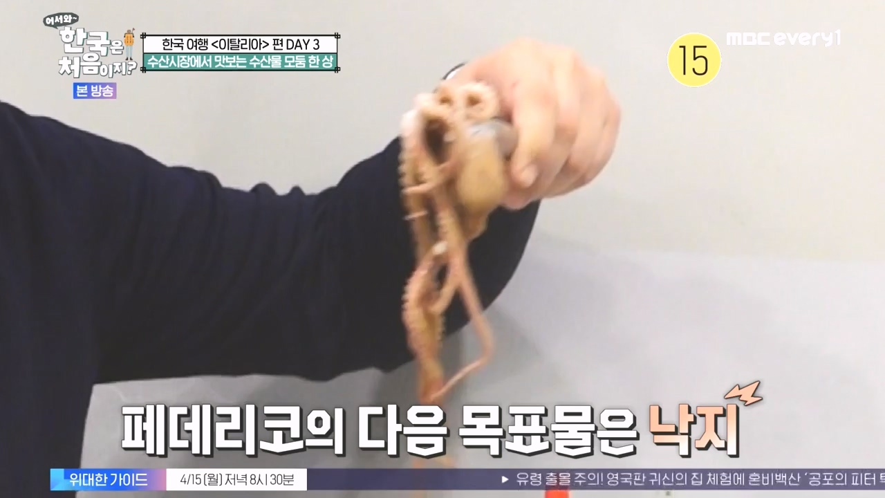 어서와 한국은 처음이지 시즌2.E309.240412p-NEXT.mp4_20240412_202456.298.jpg