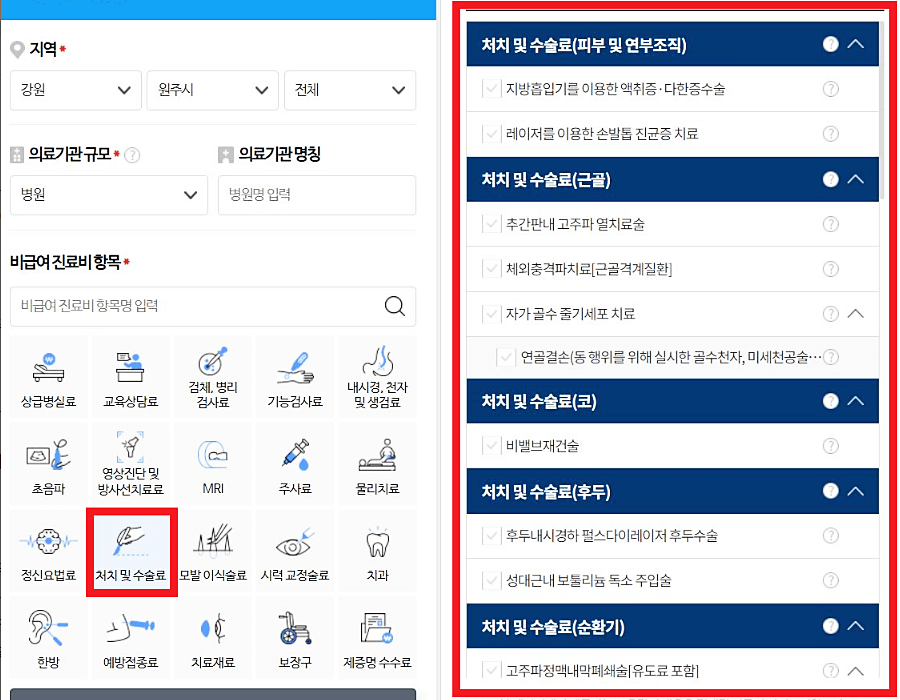 비급여-진료-항목-검색