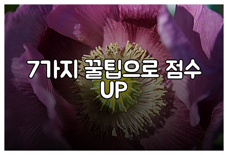 7가지 꿀팁으로 점수 UP