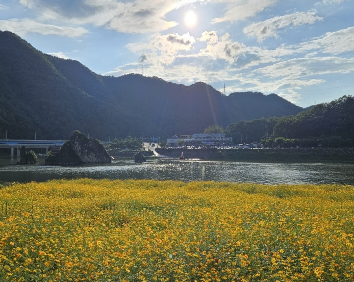 도담삼봉 공영주차장 이미지