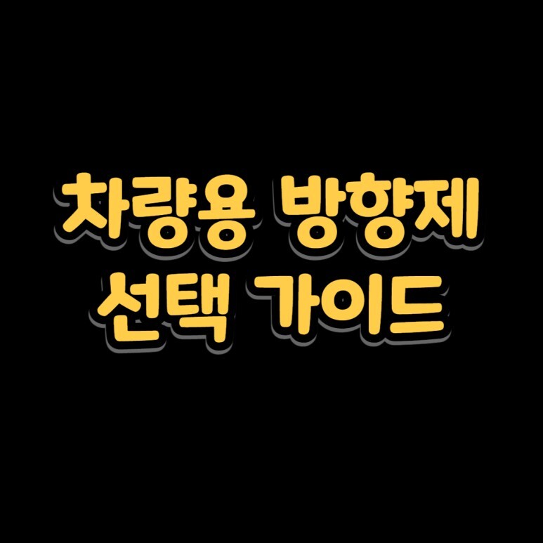 차량용방향제