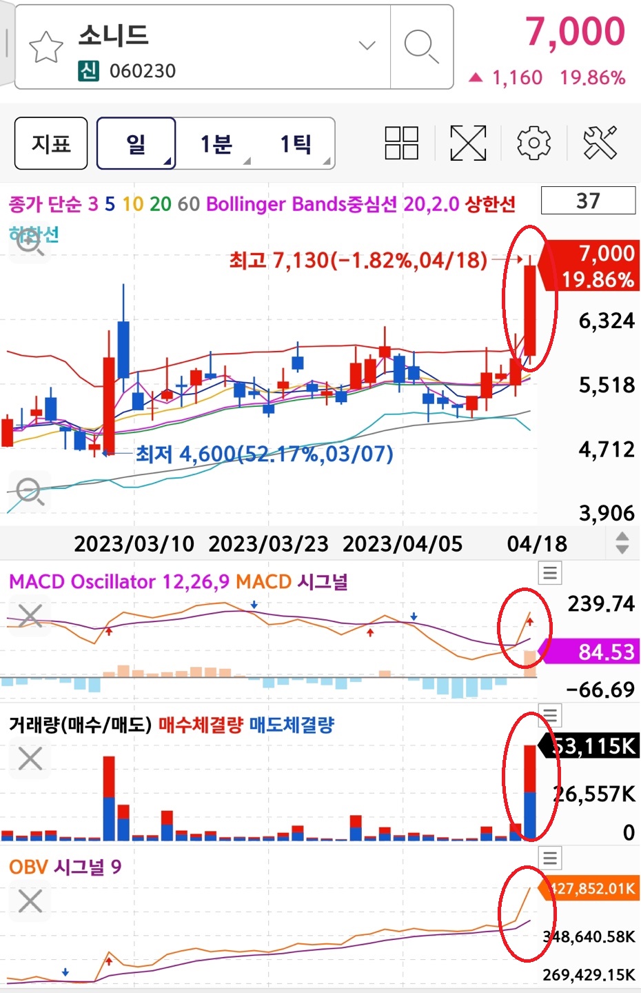 소니데 일간 차트